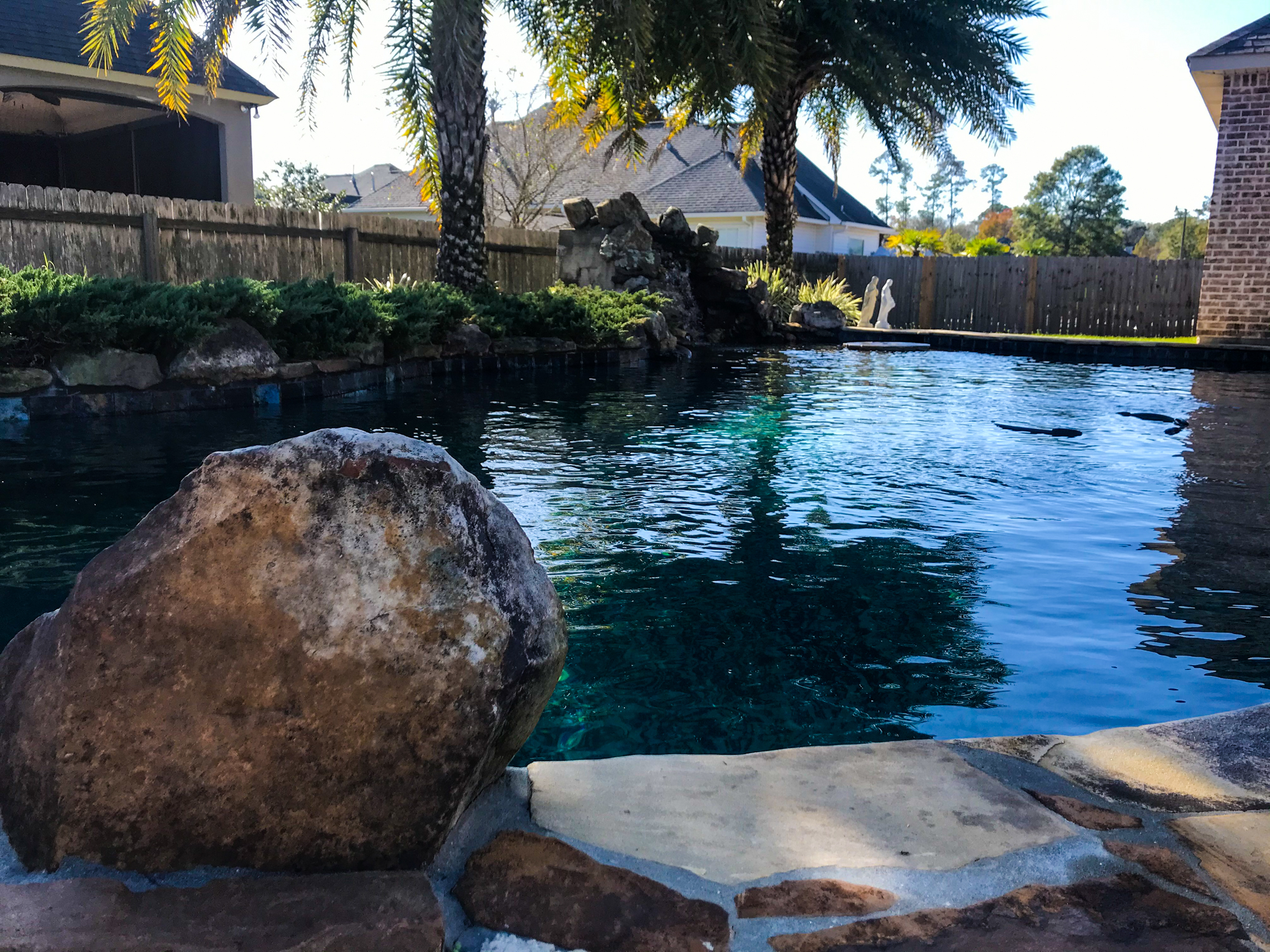 Jaws Pool Gallery | Jaw's Pool Service
